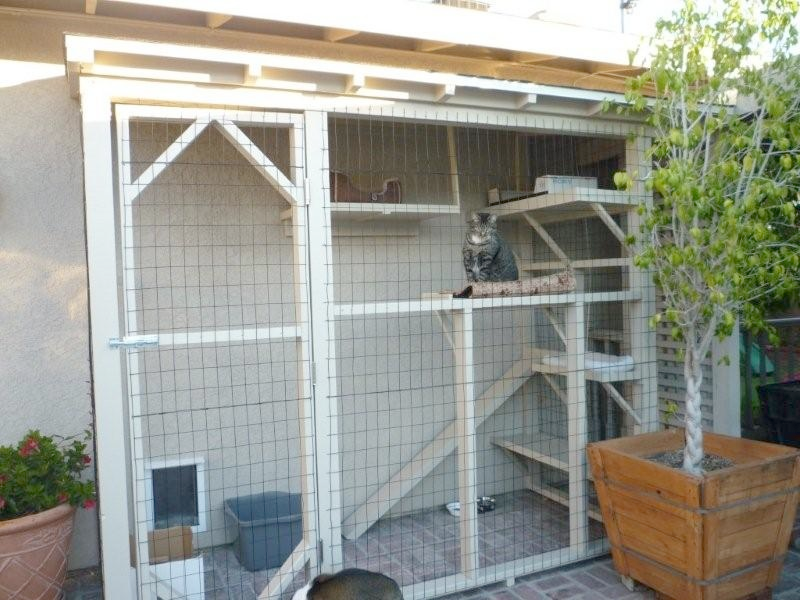 easy outdoor cat enclosure